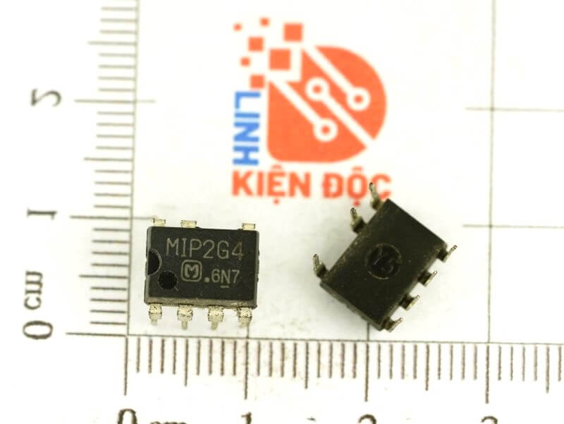 MIP2G4_1