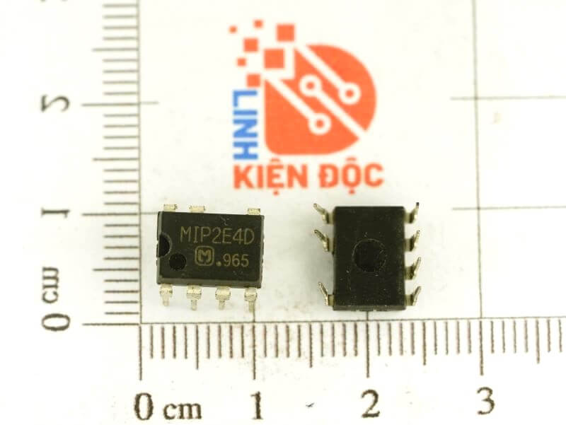 MIP2E4D
