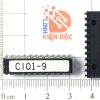 CI01-9