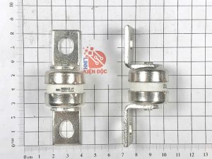 Cầu chì RGS12 100A 500V