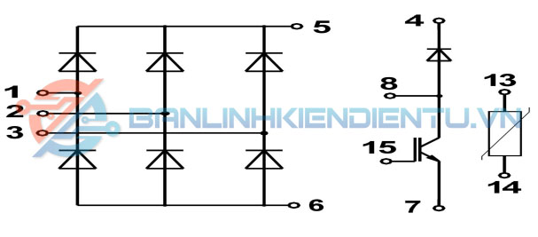 Sơ đồ cấu tạo SKD146-16-L100