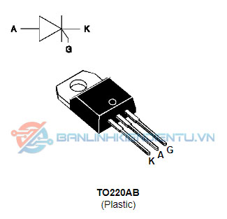 Sơ đồ chân TYN812