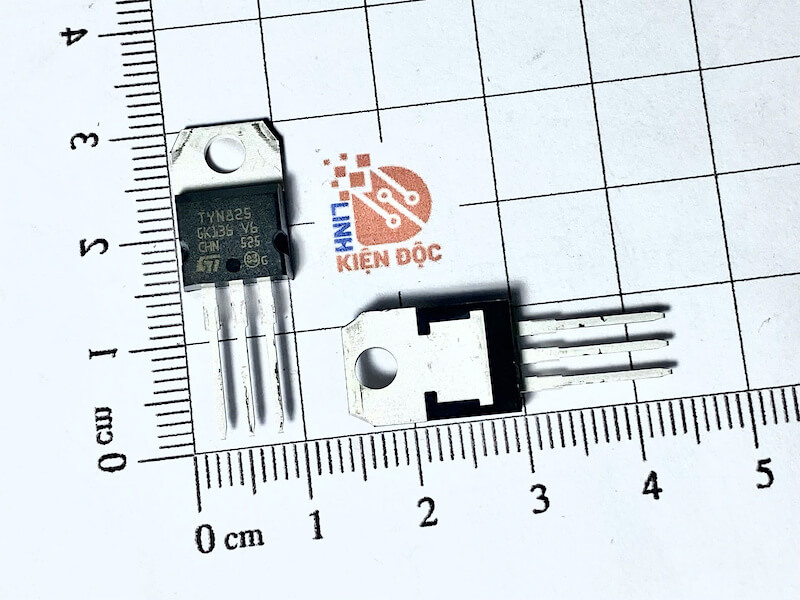 TYN825