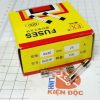 cầu chì ống thủy tinh 25A