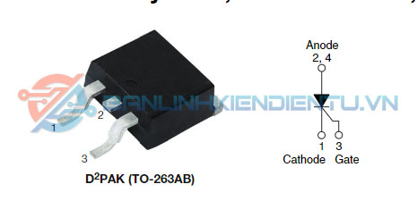 Sơ đồ chân 25TTS12S