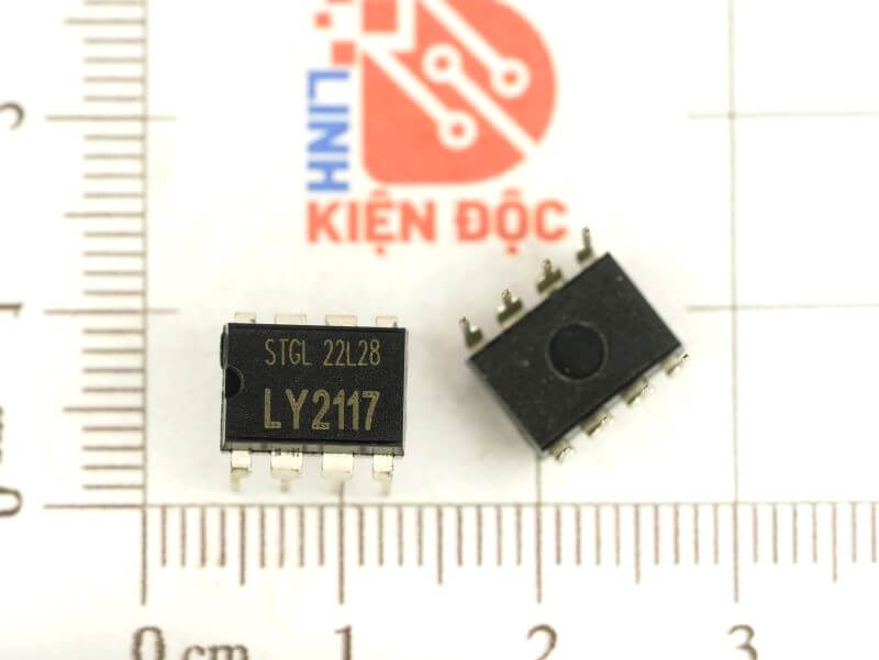 LY2117_1