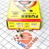 Hộp cầu chì thuỷ tinh 5*20mm 8A