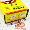 cầu chì ống thủy tinh 20A