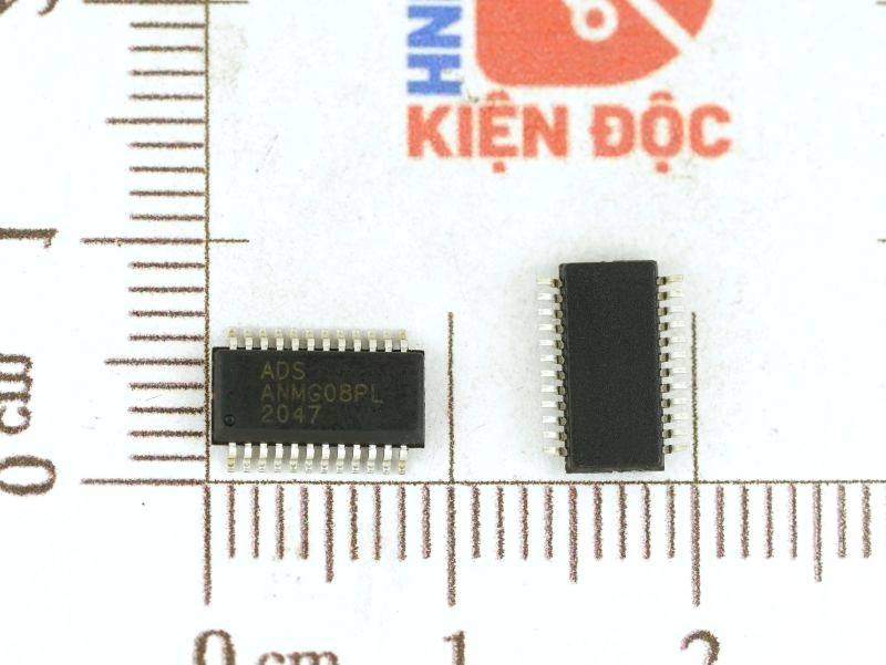 ANMG08PL