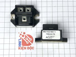 MG75Q1BS11