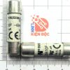 Cầu chì sứ BUSSMANN 20A 600V