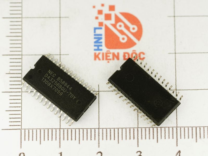 D43256BGU-70Y_2
