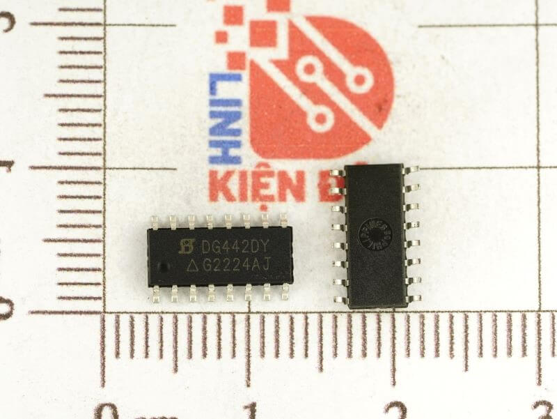 DG442DY
