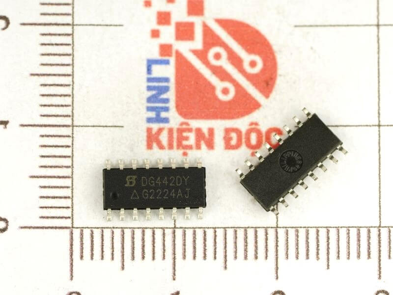 DG442DY_1