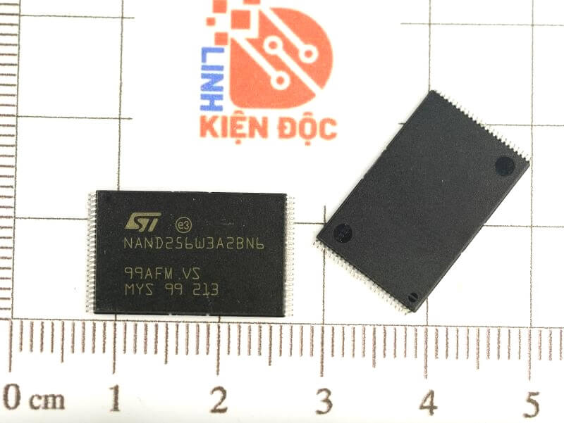 2BN6_1