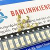 Cầu Chì Sứ SMD 6.3A 125V LF6.3A