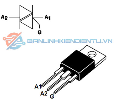 sơ đồ chân và cấu tạo BTA16-800B
