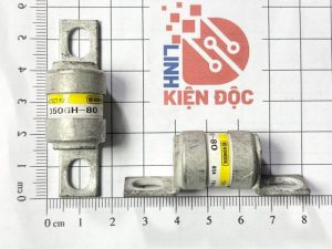 Cầu chì HINODE 350GH-80 80A 350V kích thước 55x22mm Tháo máy