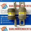 cầu chì 50A 250v