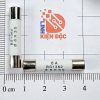 250V R058 8A