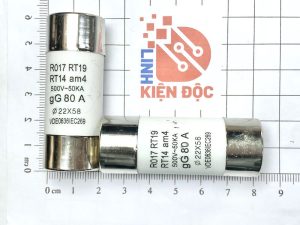 RO17 500V kích thước 22-58mm 80A