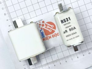 RS31 NGTC00 80A