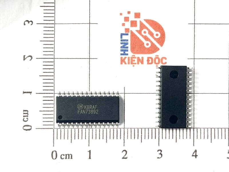 FAN73892